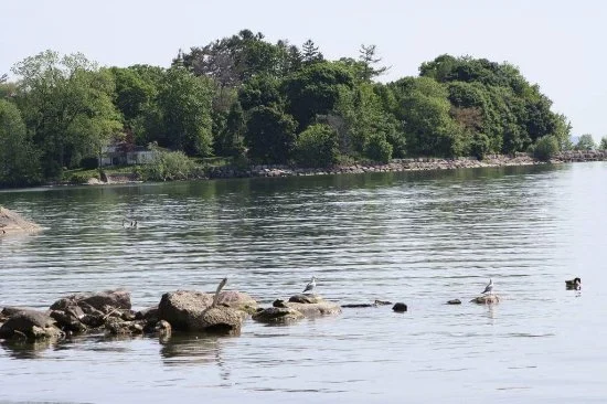 Richard’s Memorial Park