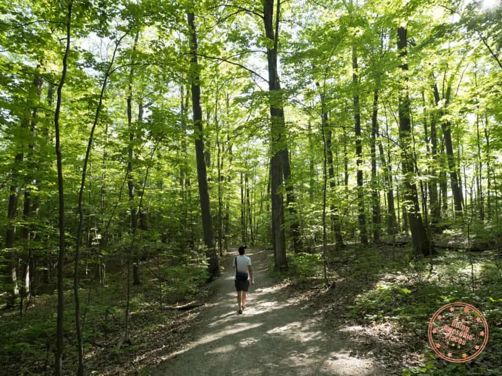 Maple Nature Reserve