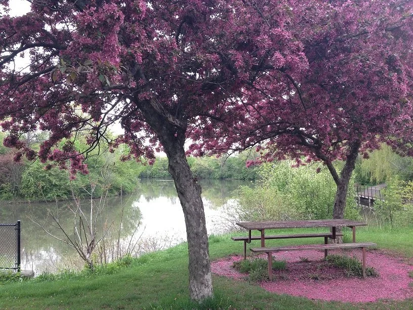 Lake Wabukayne