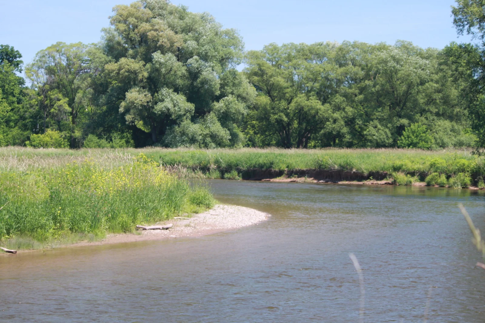 Meadowvale Conservation Area